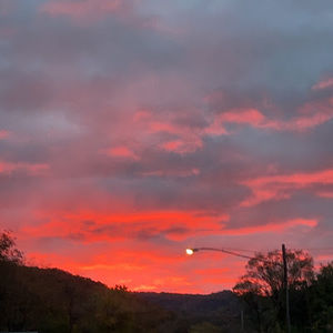 Meet your Posher, Krystal